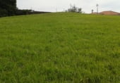 Terreny no urbanitzable en venda a la Bº de la Reigada, Pravia, ref.: TR111772 foto