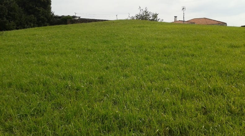 Asturias - Pravia - 2737m2