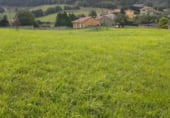 Terreny no urbanitzable en venda a la Bº de la Reigada, Pravia, ref.: TR111772 foto