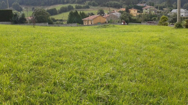 Asturias - Pravia - 2737m2
