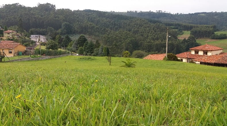 Asturias - Pravia - 2737m2