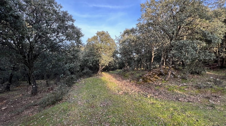 Toledo - Almendral de la Cañada - 70000m2