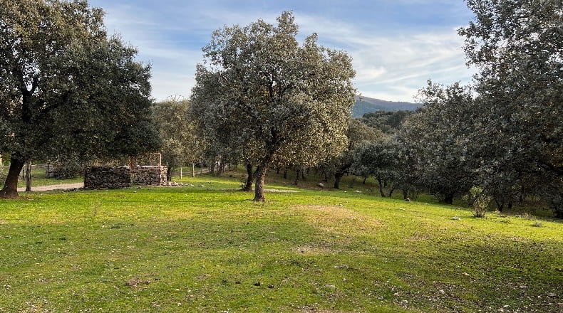 Toledo - Almendral de la Cañada - 70000m2