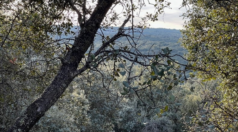 Toledo - Almendral de la Cañada - 70000m2