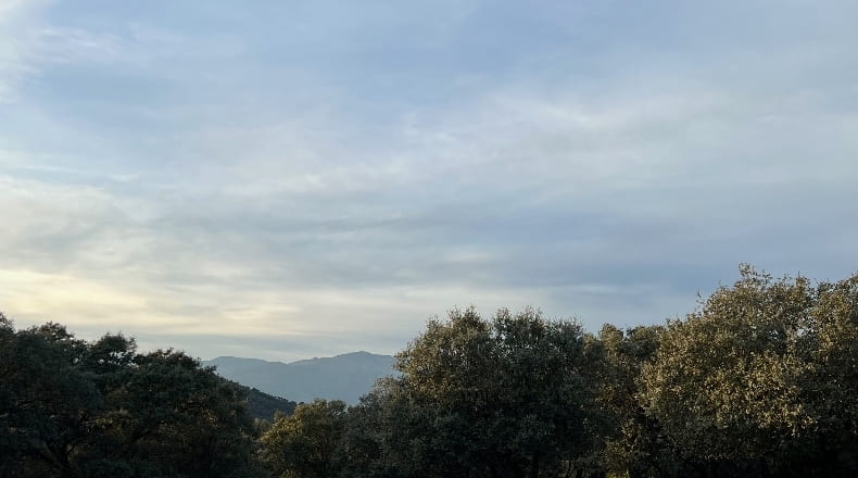 Toledo - Almendral de la Cañada - 70000m2