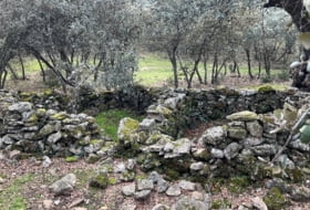 Foto 18