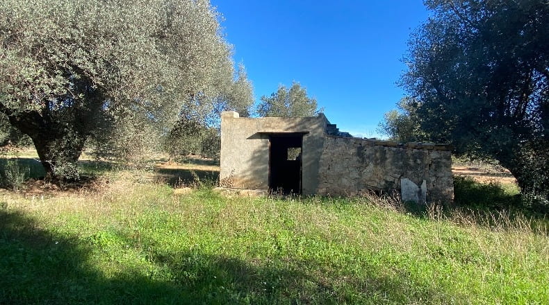 Castellón - San Mateo - 16922m2