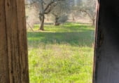 Land with storage building for sale on CV-130, Sant Mateu, ref: TR111769 photo