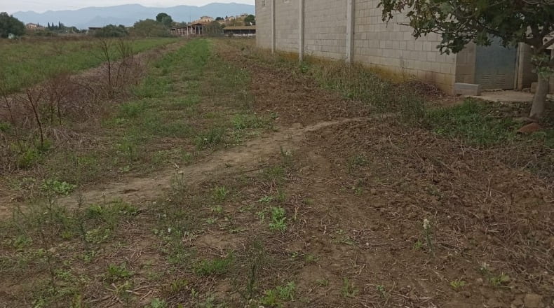 Gerona - Pedret - 10000m2