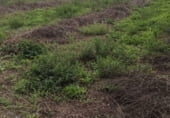 Land for sale on GIV-6101, Pedret, ref: TR111797 photo
