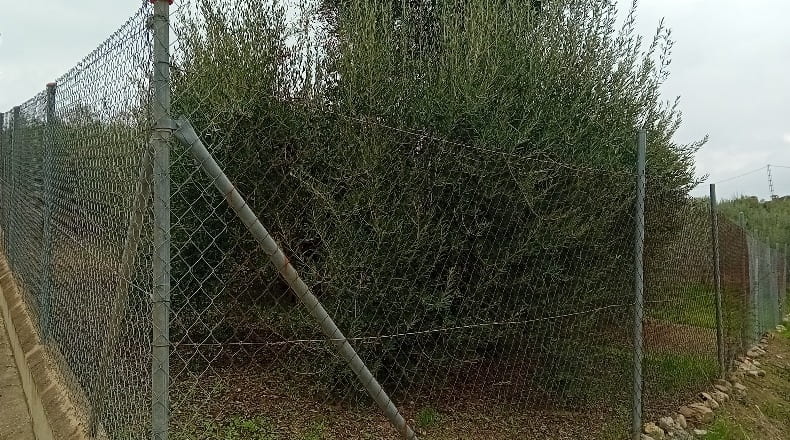 Málaga - Coín - 3410m2