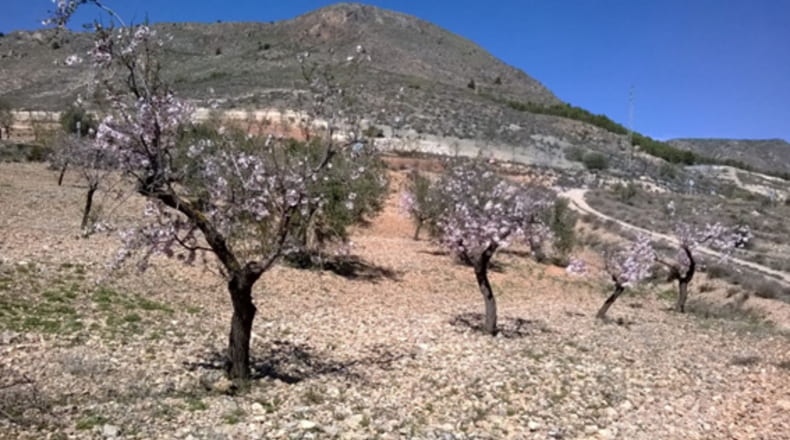 Almeria - Oria - 1798m2