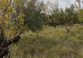 Non-developable land for sale on Carretera carrascal-marcilla NA-6020, Artajona, ref: TR111846 photo