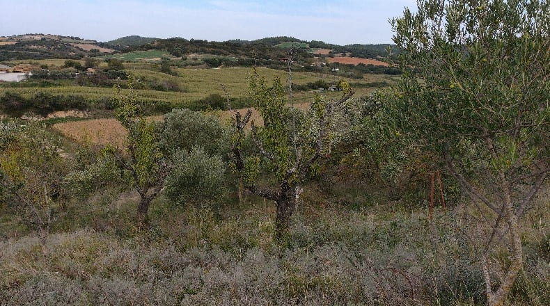 Navarra - Artajona - 3580m2