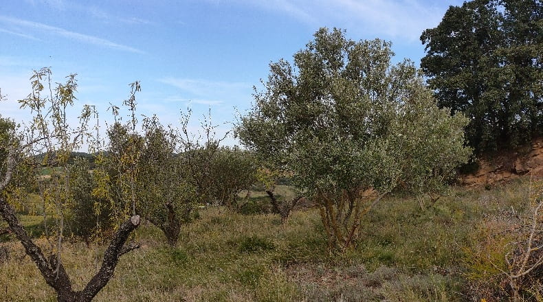 Navarra - Artajona - 3580m2