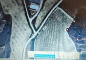 Non-developable land for sale on Carretera carrascal-marcilla NA-6020, Artajona, ref: TR111846 photo