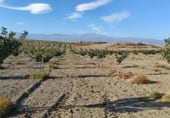 Non-developable land for sale on Los Bernabeles, Guadix, ref: TR111855 photo