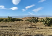 Non-developable land for sale on Los Bernabeles, Guadix, ref: TR111855 photo