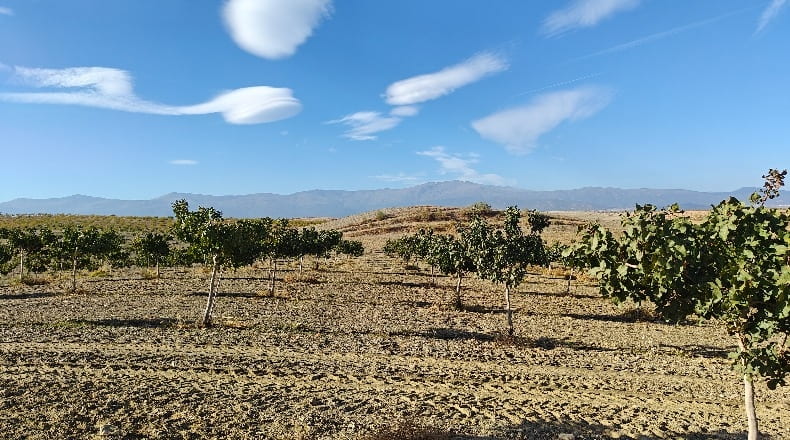 Granada - Guadix - 1000000m2