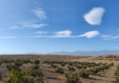Non-developable land for sale on Los Bernabeles, Guadix, ref: TR111855 photo