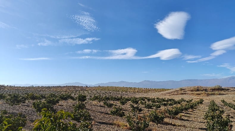 Granada - Guadix - 1000000m2