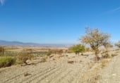 Non-developable land for sale on Los Bernabeles, Guadix, ref: TR111855 photo