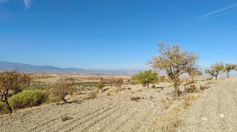 Granada - Guadix - 1000000m2