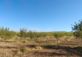 Non-developable land for sale on Los Bernabeles, Guadix, ref: TR111855 photo