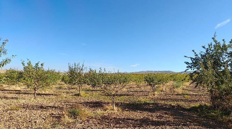 Granada - Guadix - 1000000m2
