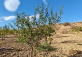 Non-developable land for sale on Los Bernabeles, Guadix, ref: TR111855 photo