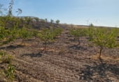 Non-developable land for sale on Los Bernabeles, Guadix, ref: TR111855 photo