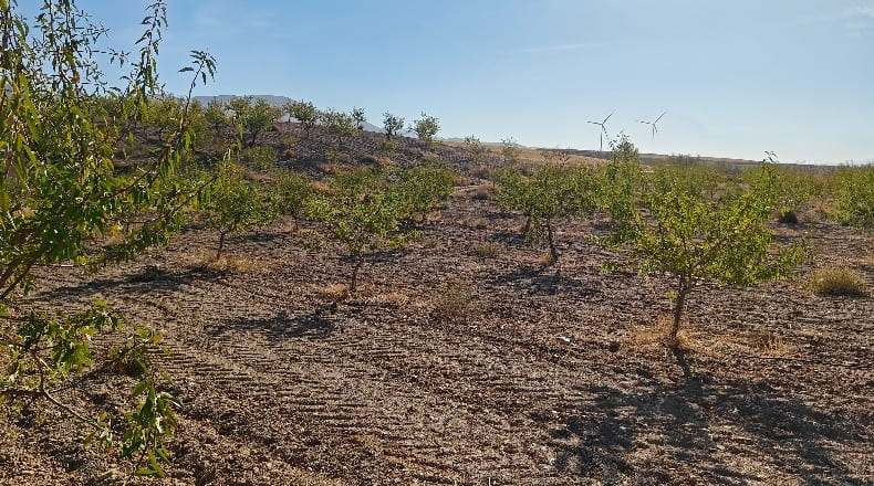 Granada - Guadix - 1000000m2