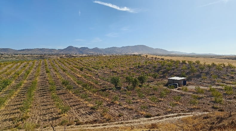 Granada - Guadix - 1000000m2