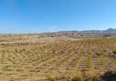 Non-developable land for sale on Los Bernabeles, Guadix, ref: TR111855 photo
