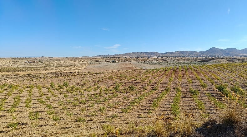 Granada - Guadix - 1000000m2