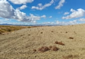 Non-developable land for sale on Los Bernabeles, Guadix, ref: TR111855 photo