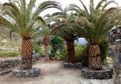 Casa de pedra amb terreny en venda a la Las Canteras, ref.: TR111883 foto