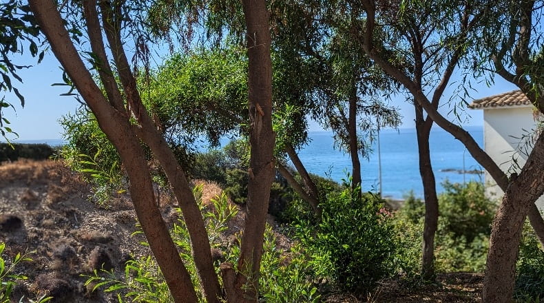 Málaga - Mijas - 617m2
