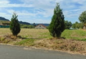 Suelo urbano en venta en la Campanilla, Puentedeume, ref: TR111893 foto