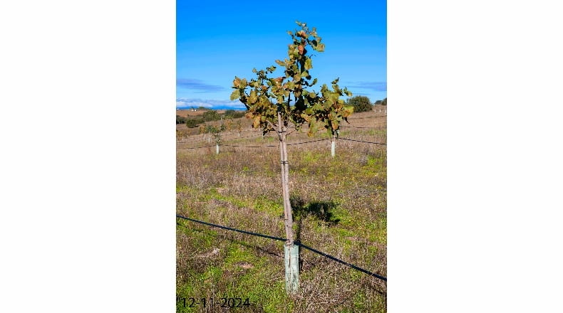 Toledo - Fuensalida - 50000m2