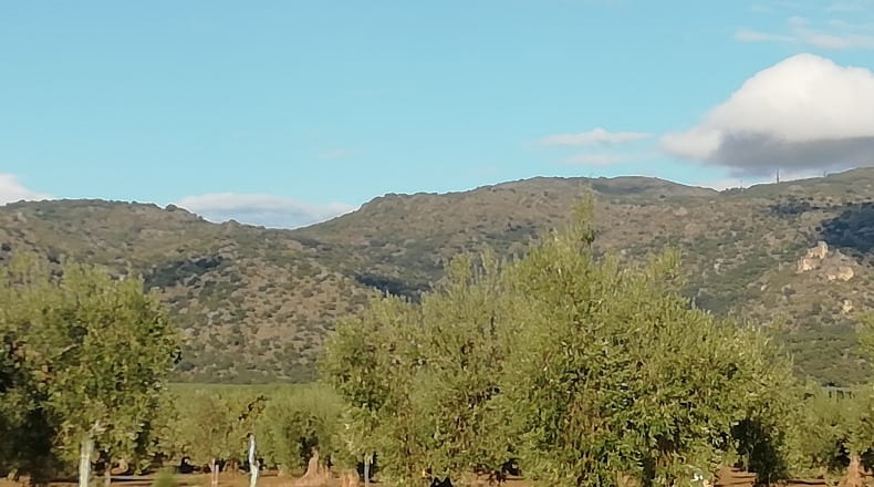 Cáceres - Arroyomolinos - 12000m2
