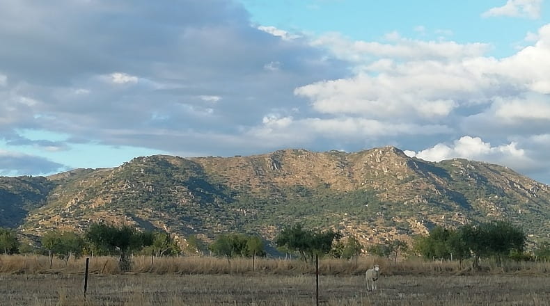 Cáceres - Arroyomolinos - 12000m2