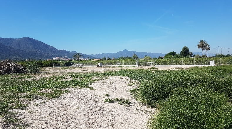 Múrcia - Murcia - 9900m2