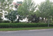 Non-developable land for sale on España, El Espinar, ref: TR117597 photo