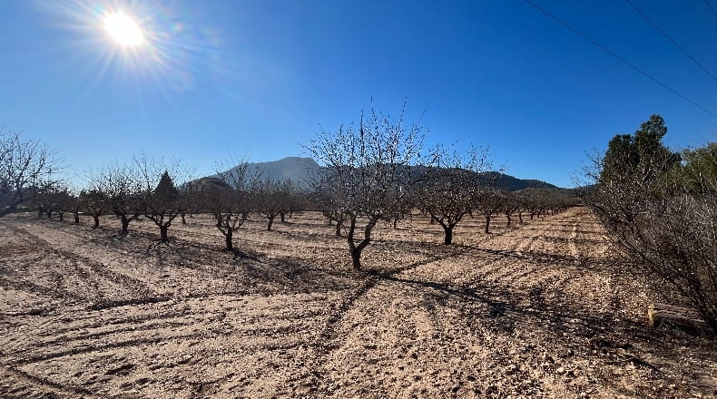 Alicante - Villena - 15304m2