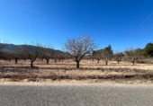 Terreno no urbanizable en venta en la Carretera de las Virtudes, Villena, ref: TR112220 foto