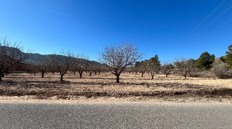 Alicante - Villena - 15304m2
