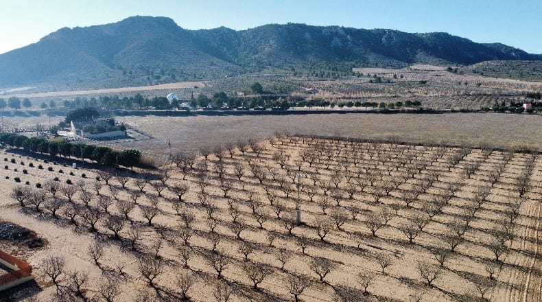 Alicante - Villena - 15304m2