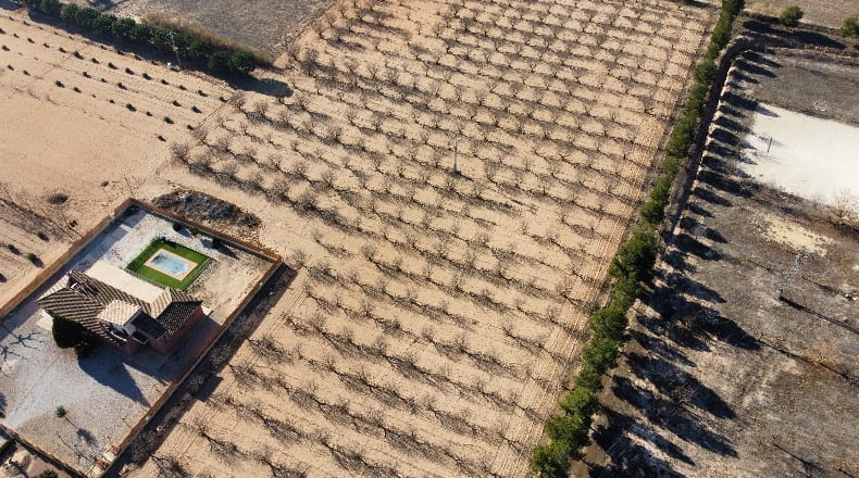 Alicante - Villena - 15304m2