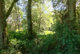 Begonte 12500&nbsp;m²